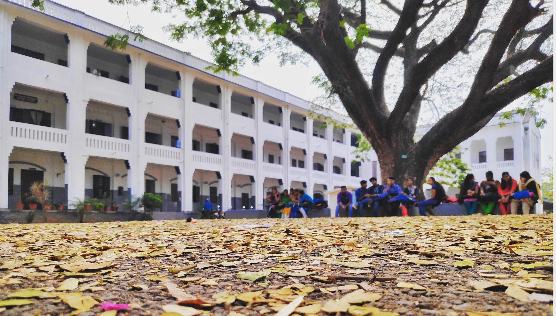 Department Of Physics Fatima Mata National College FMNC Arts 